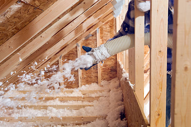 Professional Insulation Services in Chesterfield, SC